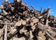 Bois-de-chauffage-autentique-et-economique