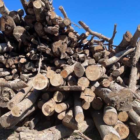 Bois-de-chauffage-autentique-et-economique