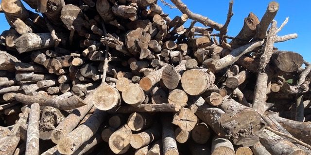 Bois-de-chauffage-autentique-et-economique