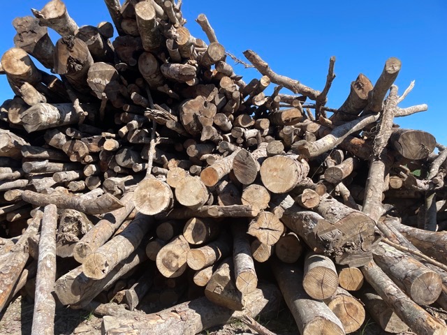 Bois-de-chauffage-autentique-et-economique